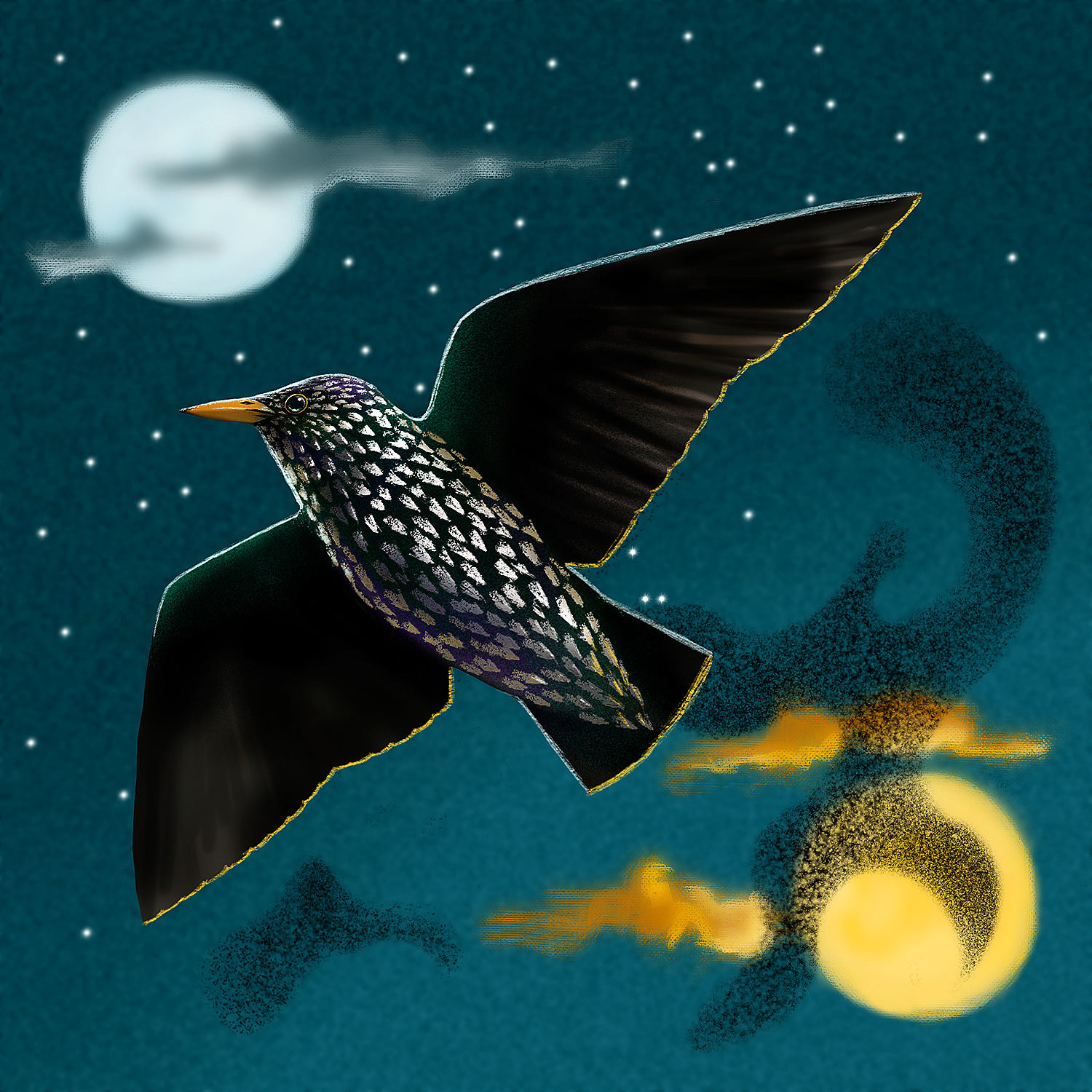 Starling_©_Ross_Gillespie